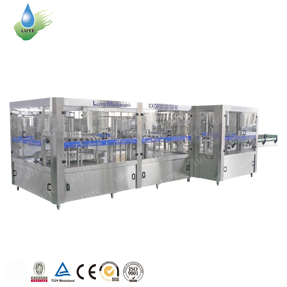 Full Automatic Plastic Bottle Water Filling Plant/Pet Bottle Water Filling Machine