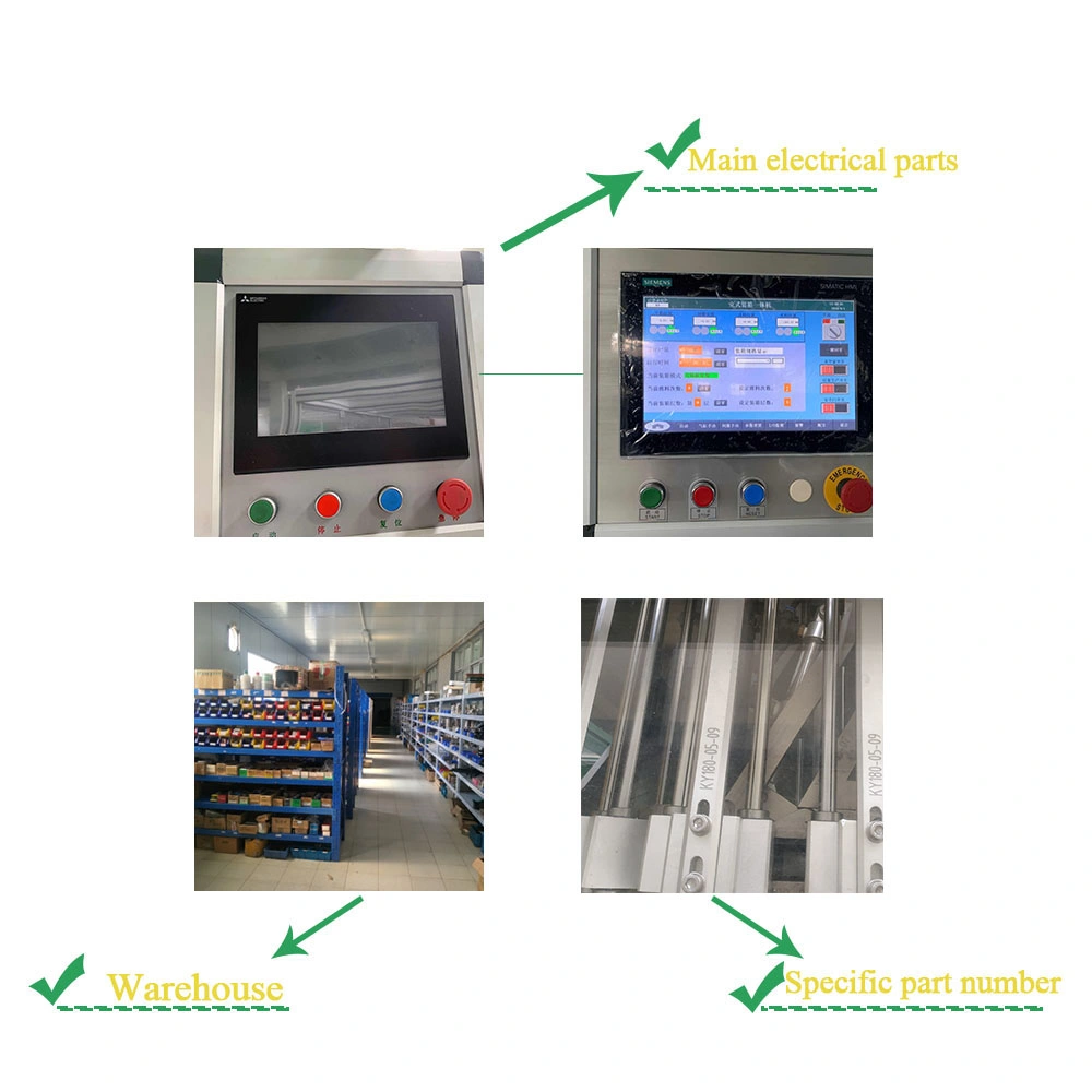 Automatic Can Customize Carton Filling Machine for Bottle Filling Carton Packing Machine